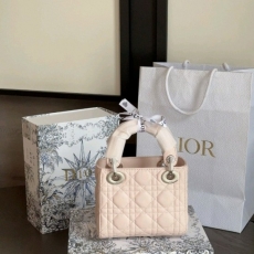 (DIOR MY ABCDIOR) 미니 레이디백