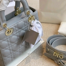 [ DIOR ] 스몰 레이디백
